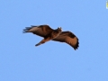 20190826-058