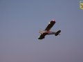 IMG_3147