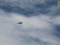 IMG_5929